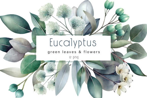 Elevate Your Projects with Watercolor Eucalyptus Clipart