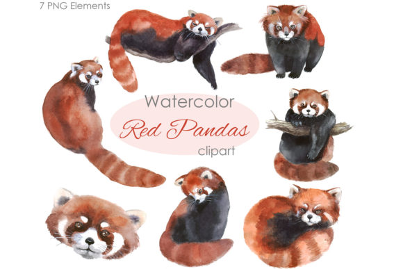 Watercolor Red Panda Clipart: A Touch of Woodland Whimsy